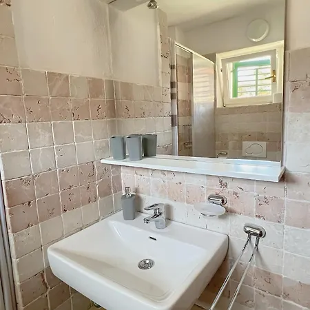 Dalmatera روغوزنيكا