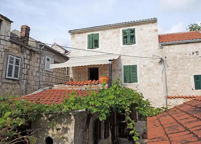 Dalmatera Rogoznica (Sibenik-Knin)